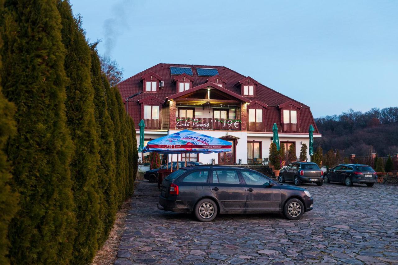 Pensiunea Si Restaurant Erdo 奥多尔黑塞库耶斯克 外观 照片